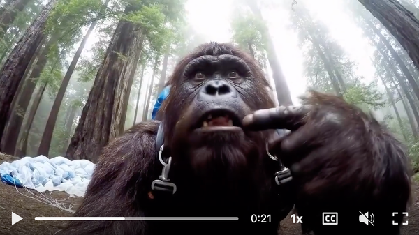 The Skydiving Gorilla That Gave The Marketing Industry a Root Canal